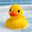 null_