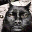 Balu SKINS