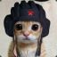 T@HKИCT64