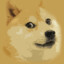 Doge's avatar