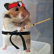 🌌Хам Star🌌 aka Super Hamster avatar