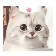 吃芒果的涨涨