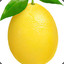 &gt;Life is a lemon&lt;