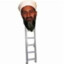 Osama Bin Ladder