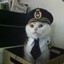 Cat Sailor