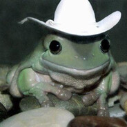 CountryToads