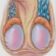 Варикацельки