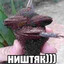 картавые люди прост ррр