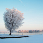 i like january