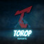 Torop Esports