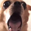 AoEE.Tsumi