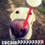 егор лоботряс
