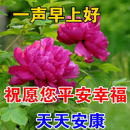 花开富贵