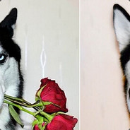 我重伤倒地但还活着