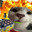 nemotheemo