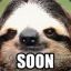 RoboSloth