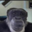 ?$f HuKoL9MbDA f$?