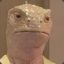 Uncle Lizard