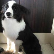 初次云雨很紧张