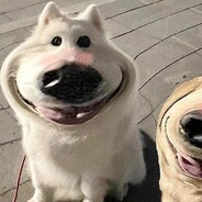 想和你有个家2026