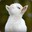 Totes Mah Goats