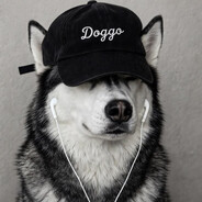 NasT