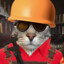 Rotaru_cat