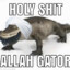 Allahgator