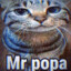 Mr Popa