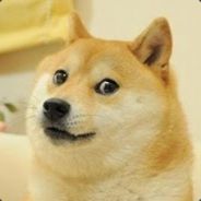 奥丁之子张全蛋