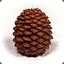 Slightly Homophobic Pinecone