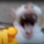 chicken_nugget_mormor