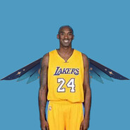 假如牢大拥有风之翼