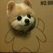 和老年人认真你就输了