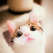 ★★★勿忘❤安忆阑珊.QwQ★★★