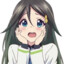 MaryXD