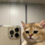 Simon