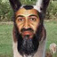 Osama Bin Llama