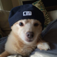 ded insade zxc no social life