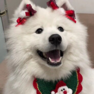 不爱玩硬要玩的小江