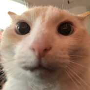 naZero