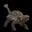 ankylosaurus