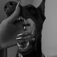 Пьяная белка