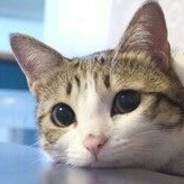 =TF58= loverrain4500