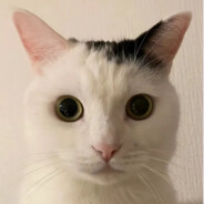 翻斗花园突击手壮壮