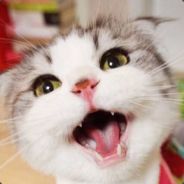 我在屎里下了毒