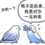 鸽啊嘎