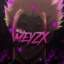 MeyZX