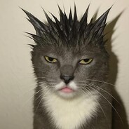 见人就窜我最棒