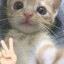 Avatar of player Limp